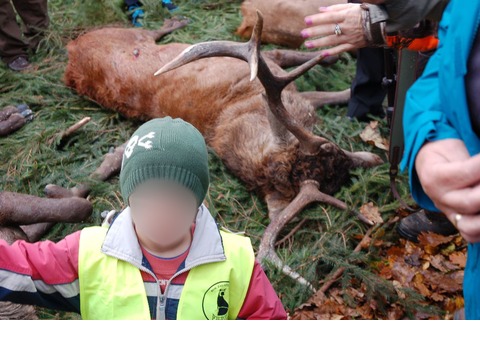 Zdjecie przedstawia małego chłopca, w tle zabite na polowaniu jelenie. 