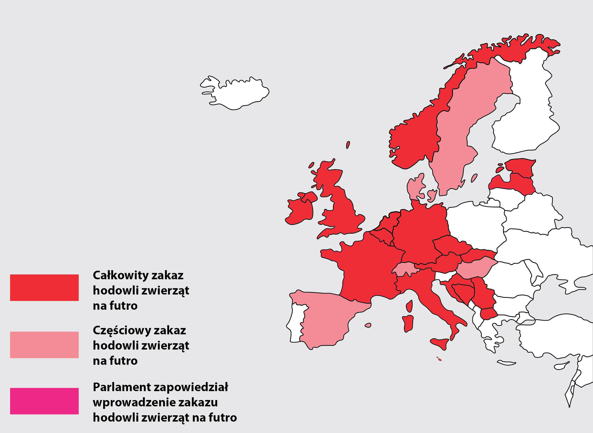 Grafika prezentuje mapę Europy, na której zaznaczono kolorami kraje, które w jakiś sposób ograniczyły hodowle zwierząt na futra. Pełne informacje na ten temat znajdziesz na www.jutrobedziefutro.pl
