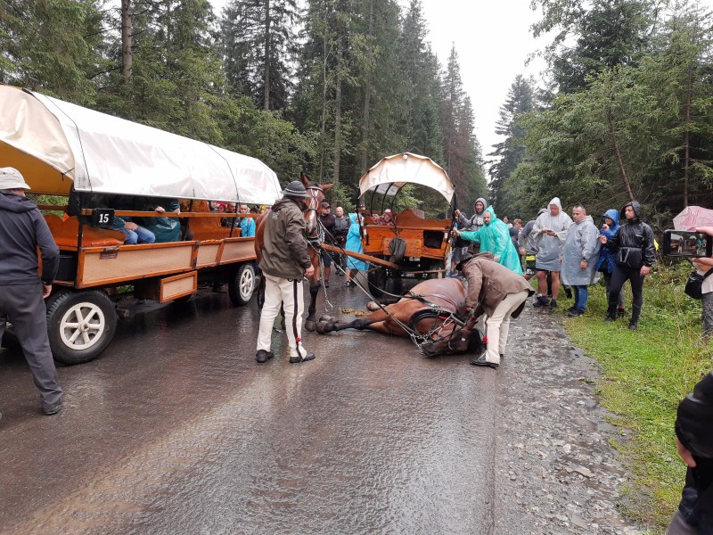 86b549d4 534c 4383 8583 b0af1b551079